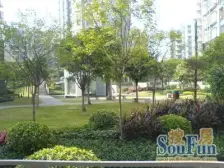 融侨 融侨苹果城一房