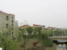 十年出来一套+南临自然大河+大面宽+大花园+户型方正