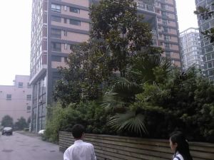 曼哈顿自然派3室2厅南北