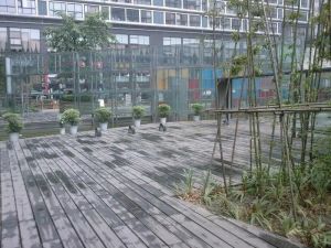 曼哈顿自然派 1室1厅 东 南