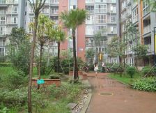 东林城市花园 3室1厅 南 北