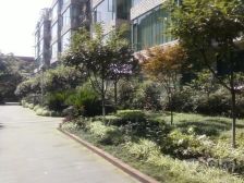 汇景樱桃季 2室1厅 东 东南 西南 西