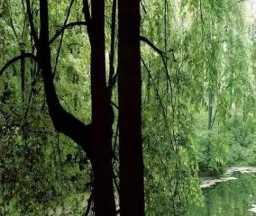棕东小区4室1厅东南