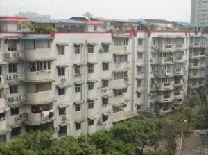棕东小区3室1厅东南
