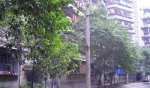 九里堤中路52号院3室1厅东南