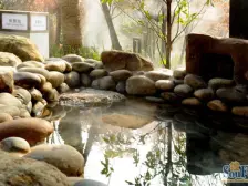 三峡广场 融汇国际温泉城A区(泉景)三房