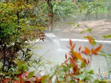 三峡广场 融汇国际温泉城A区(泉景)三房