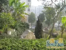 楼层不高 户型方正 适合老人养老年轻人过度不二选