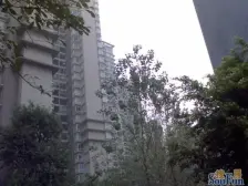 21年新装修+现代风格+业主急售+带入户花园