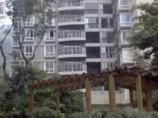 80平私家花园阳光房 喝茶赏花种植园 城市中的小庄园