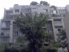 晋愉绿岛五房 带花园 自住宜居