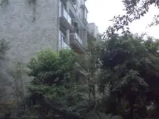 80平私家花园阳光房 喝茶赏花种植园 城市中的小庄园