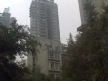 区府 晋愉绿岛印像三房70万