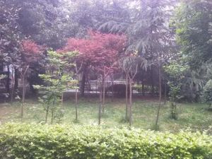 北辰花园1室1厅东北