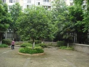 双楠家园6室2厅南