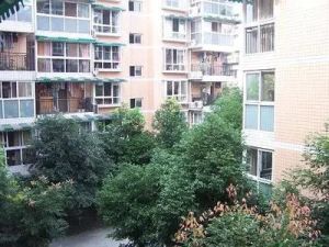 成龙花园2室2厅南