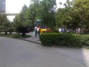 明阳家在回廊2室2厅西北