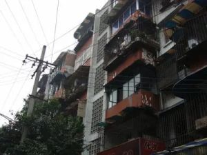 新鸿一区3室1厅东南