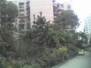 新鸿一区3室1厅南