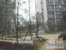 东海长洲 2室1厅 南