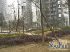 东海长洲 3室2厅 西南 西