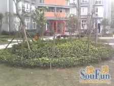 此房源有密码看房方便,公交轻轨出行便利,配套成熟