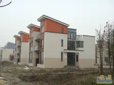 采光好,户型好,税费少,好改造的好房子