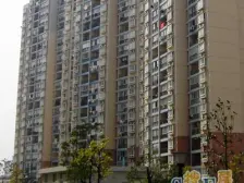 景观房 看三件套 黄浦江 南北厅朝北 看房方便