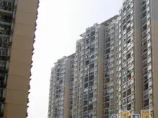 电梯房,主卧朝南,带飘窗,环境优美,交通便利