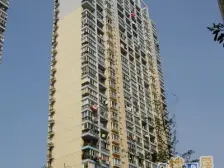 景观房 23楼 正规三房两厅 全新装修 能看到上海三件套