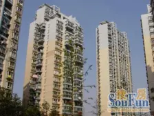 电梯房,精装修,品质小区,小区景观位置