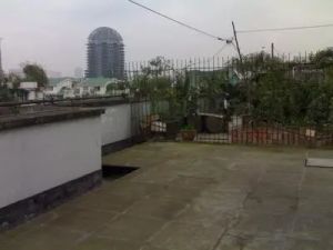 蜀光路14号1室1厅东南