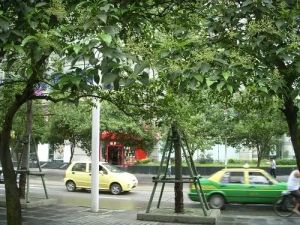 国际商务大厦2室1厅南