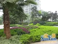 星月湾 2室1厅 南 北