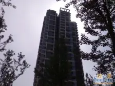 星月湾 2室1厅 南