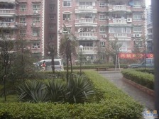 毛线沟 正规大三房 商品房 单价5000多