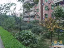 毛线沟 顺通花园二房60万