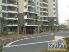 三花现代城二期2室南朝向530.00万元/套出售