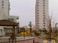 海尚康庭|高层视野开阔|采光充裕|近轻轨11号