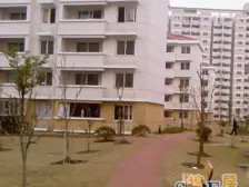 老业主委托 + 张江南+户型方正+毛胚好设计+低总价