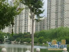 精装修 业主诚心出售 南边视野景观 采光好 视野好