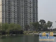 三开间朝阳全天沐浴阳光有钥匙看房 直达车库 三新壆校