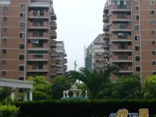 近地铁,无抵押 精装,电梯房,新上房源