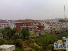 茶花小镇 1室0厅 南