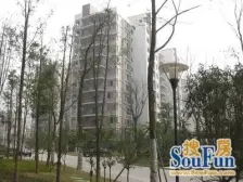 茶园新区 茶花小镇四房80万