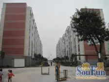 茶花小镇 5室1厅 东南