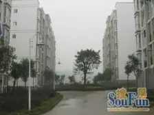 近轻轨,近公交,出行便利,配套成熟,总价低