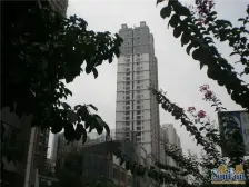 金科大平层户型方采光好视野开阔