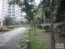 急售!二郎精装二房,价格可刀