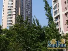 看了就想买系列,绿地小三房,全明户型,满五唯---